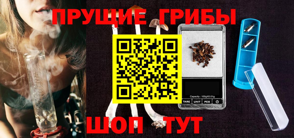 Клинцы  закладки  Псилоцибиновые грибы MAGIC MUSHROOMS  Вход с VPN  Псилоцибиновые грибы Psilocybine cubensis 