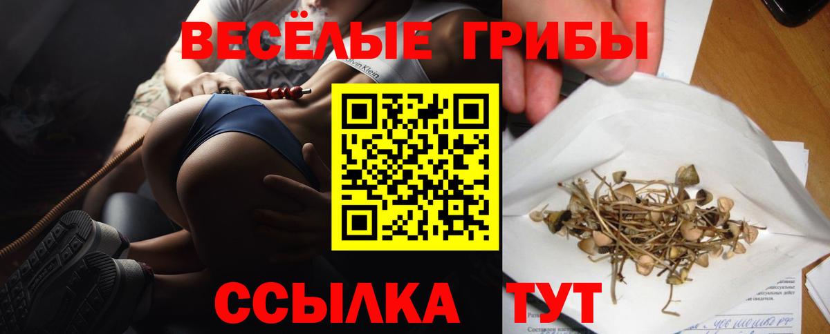 Псилоцибиновые грибы ЛСД Клинцы